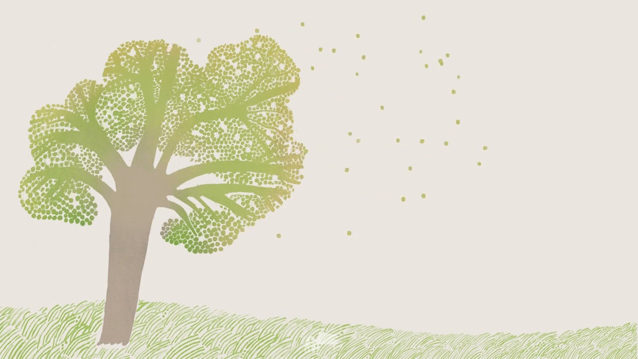 Andrea Vanzo na koncercie w Polsce!