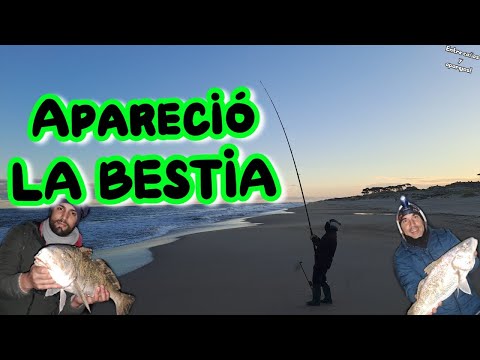 Apareció la BESTIA‼️ Toooda la noche con pesca en la costa🎣 //Lad Toscas, Canelones, Uruguay//ECyA