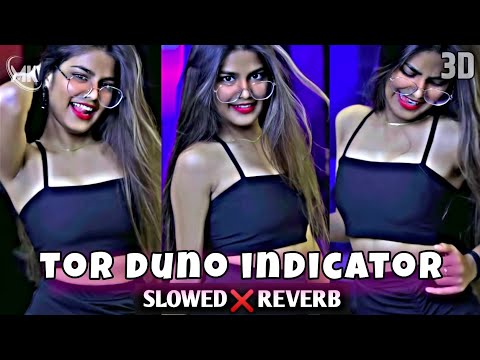 Tor Duno Indicator - Slowed & Reverb | LoFi #Remix | By Vishal Giri