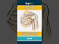shoulder - the part of your body betwe... video thumbnail