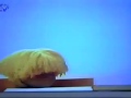 Slim Pig The Mouse Map