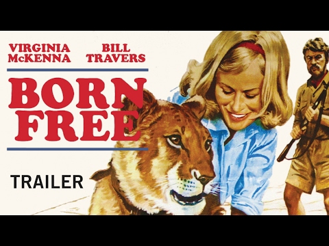 BORN FREE (Yeni ve Özel) Fragman