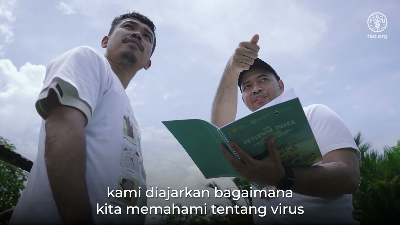 Meningkatkan Kapasitas Peternak Babi dalam Menghadapi Penyakit ASF di Kalbar melalui Program CABI