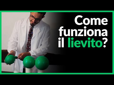Recensioni Donna patogeno Video da agenti patogeni equine