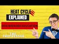 The Dog Heat Cycle Explained by The Professor (HEAT SHOT PRO CON)