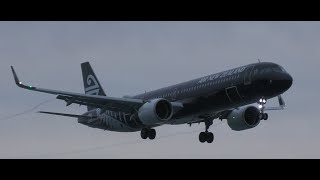 Download lagu Windy Welly Livestream with Kev mp3 Download lagu Windy Welly Livestream with Kev mp3