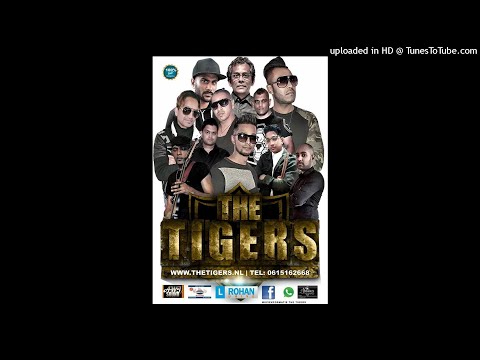 JIGGLE WIGGLE MEDLEY - THE TIGERS - VOLUME 10