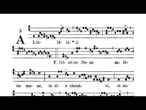 Dominica XII post Pentecosten (XII Sunday after Pentecost) - Alleluia (Domine Deus salutis meae)