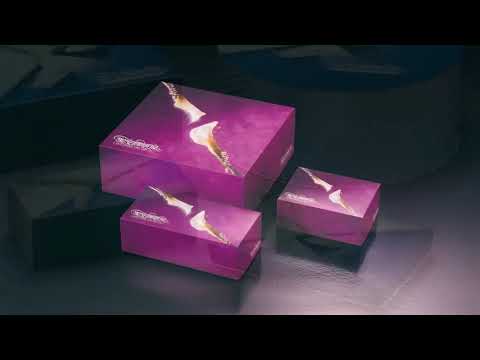 Pastelaria Saint Honore 1986