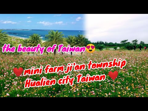 Mini fazenda em Ji'an Township Hualien City Taiwan ..