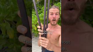 The Strongest Laxative In The World