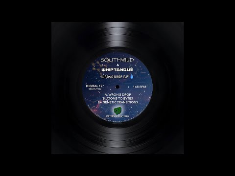 Southwild & Whiptongue - Atoms to Bytes