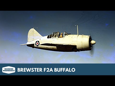 Brewster F2A Buffalo - Warbird Wednesday Episode #287
