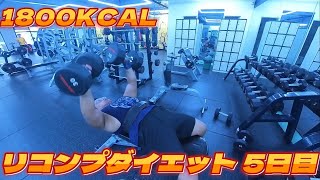 【リコンプダイエット 5日目 1800kcal】デブは毎日心拍数を意識して有酸素運動しないとアカン