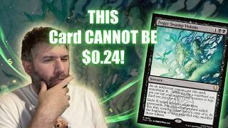 This Card CANNOT Be $0.24! Foggy Swamp Visions Finance + Just Check the Receipts! 📈