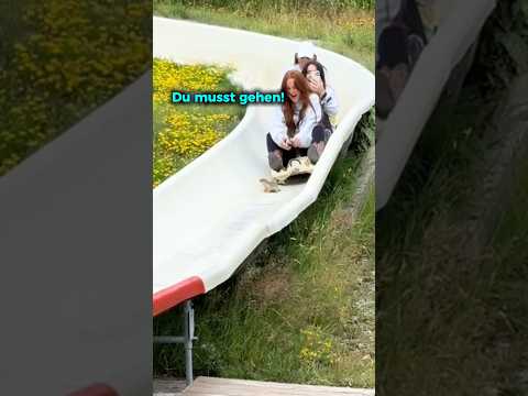 Ein Eichhörnchen war in ihrem Weg 😂 #shorts