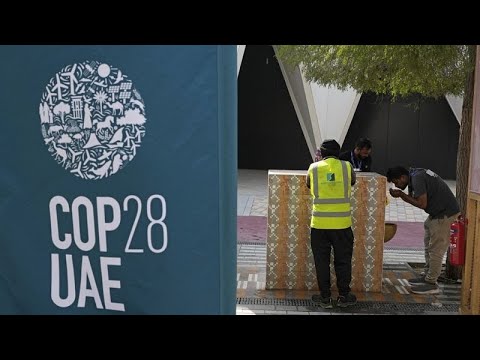 Klimakonferenz in Dubai: Die WHO warnt vor den Folgen der Umweltverschmutzung