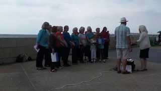 preview picture of video 'Angmering Voices Perfoming at Worthing Party on the Prom'