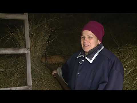 ZAPIS O SELU ZILICINA