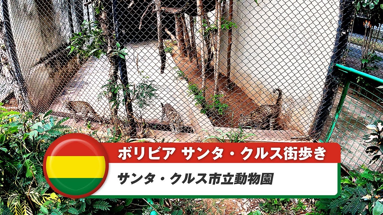【ボリビア】サンタ・クルス・デ・ラ・シエラ⑱サンタ・クルス市立動物園