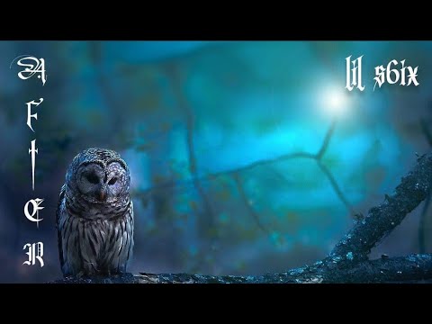 Lil S6ix X Got It (Official Music Video)