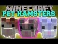 Minecraft: PET HAMSTERS (BREED THEM, SIT ON YOUR HEAD, HAMSTER BALLS!) Mod Showcase