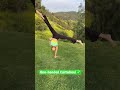 Part 2 Gymnastics Quiz ✅🤸🏽‍♀️@annamcnulty #tiktok CHALLENGE -#viralshorts #shortsfeed
