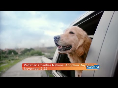 PetSmart Charities - National Adoption Days