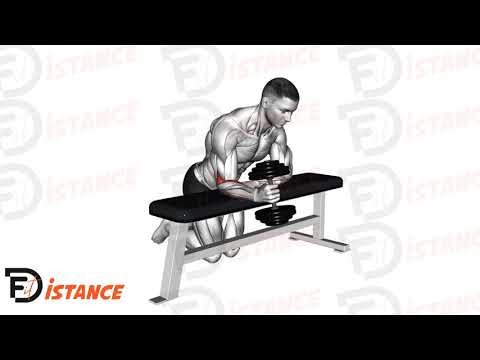 Curl poignet sur banc en prise neutre - Exercice Curl poignet sur banc en prise neutre en vidéo