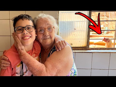 VLOG VISITEI MINHA AVÓ!