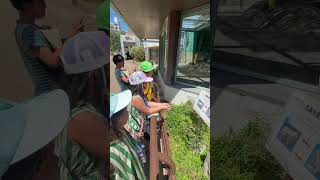 動物と会話#天王寺動物園