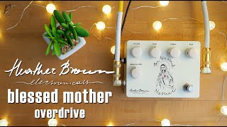 Video thumbnail for Heather Brown Electronicals The Blessed Mother Overdrive by Pedal of the Day