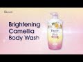 Biore Brightening Camellia Body Wash