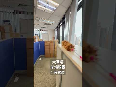 經達廣場 Youtube Video