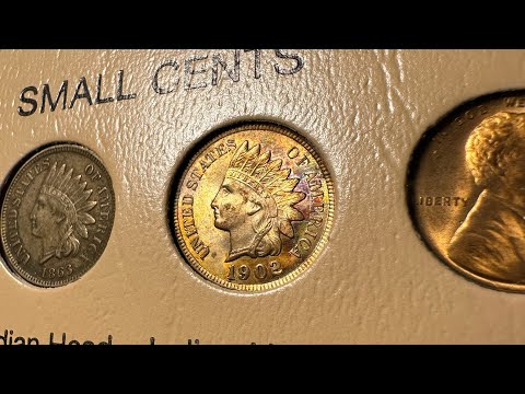 THE BEST WAY TO GET SOMEONE INTO COIN COLLECTING #numismatics #coins