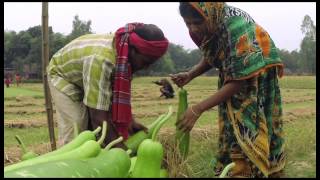 The Fair Necessities Appeal Sadia's story (Full Length)