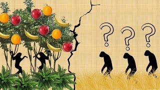 Mini lezione: antropogenesi, evoluzione dell'uomo