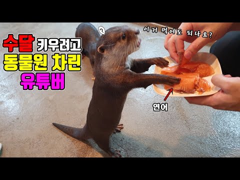 아이콘
