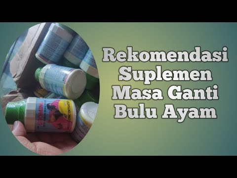 Recommended Chicken Feather Growth Supplement, Grooming, Grows Feathers Quickly and Well