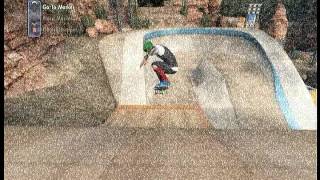 Skate 3 - How To Front Flip