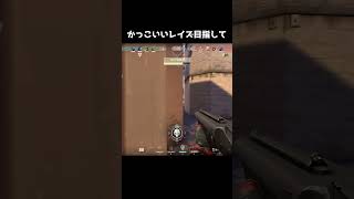 【VALORANT】シルバー帯頑張ってます
