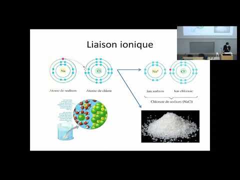 UE 2.1 S1 Les molécules constitutives du vivant.