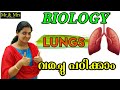 biology lungs ശ്വാസകോശം . വരച്ചു പഠിക്കാം. ഇനിയൊരിക്കലും മറക്കില്ല