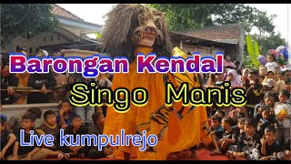 Download lagu Barongan Kendal SINGO MANIS ‼Live Kumpulrejo #trending #viral #singobarong #barongankendal #hiburan mp3