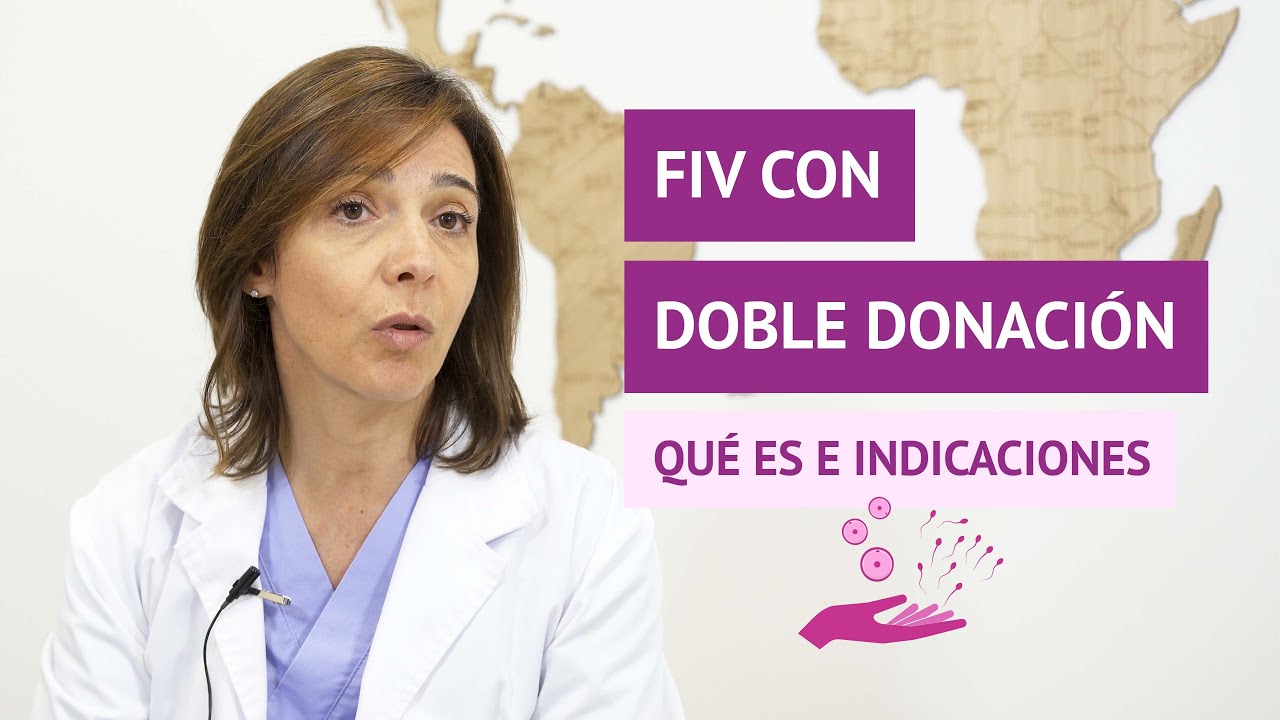 Watch FIV con doble donación: ¿Qué es y en qué casos está recomendado Now FIV con doble donación: ¿Qué es y en qué casos está recomendado