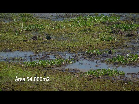 Lagoa do Sombrio   Os Segredos da Maior Lagoa de Água Doce do Estado de Santa Catarina
