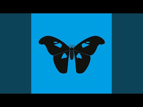 Digisynaptic Resonance