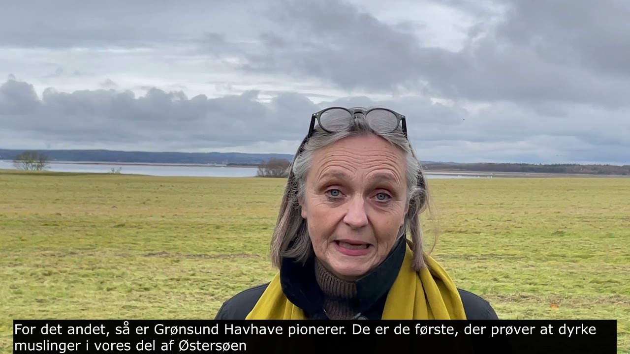 Muslingedyrkning på Falster