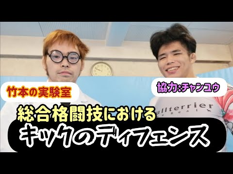 総合格闘技におけるキックのディフェンス(協力:チャンユウ)