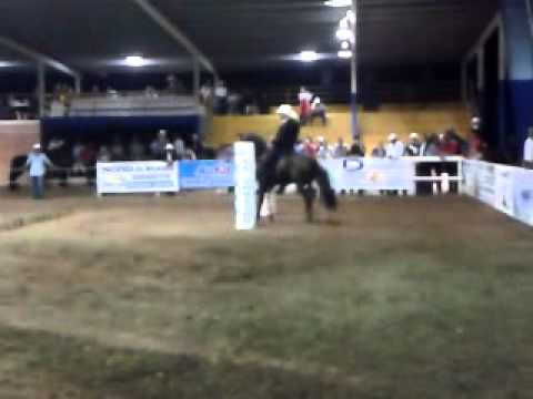 Bribon de San Isidro en Aguada